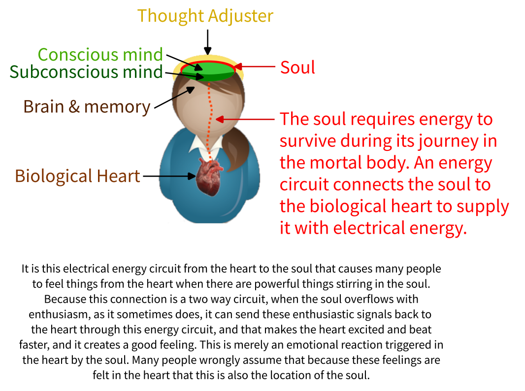 Where is the soul.png